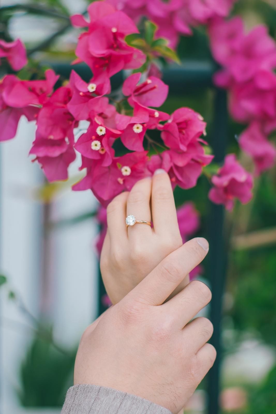 Constance Slowly Story